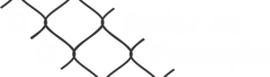 Logotipo DG Redes de Proteção